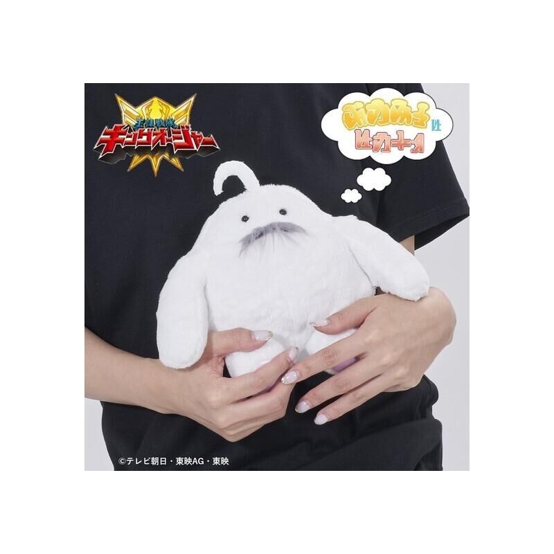 Next Product Image